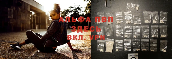 стафф Нефтегорск